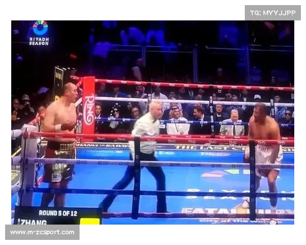 WBC次重量级过渡拳王齐斯拉克需先接受佩拉尔塔挑战 WBC次重量级过渡拳王齐斯拉克需先接受佩拉尔塔挑战